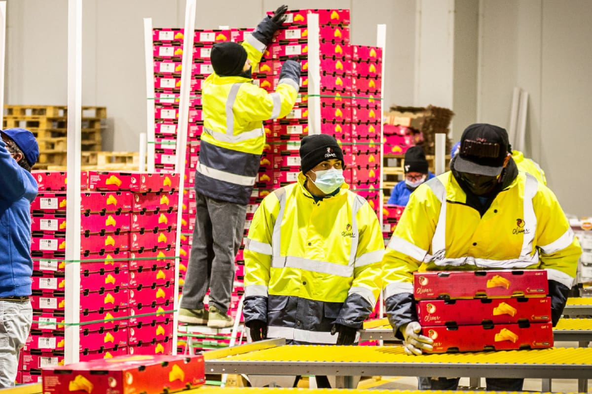 es acusada por empresa china de estafa.