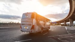 Acumulan más de $4 mil millones en multas: estas son las prácticas más inspeccionadas por la DT a buses interurbanos