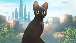 Flow: Dónde ver en Chile la película animada nominada a los Premios Oscar 2025