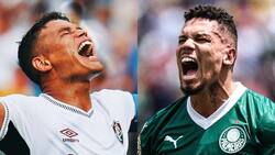 Aumentan la brecha: la millonaria ganancia de Fluminense y Palmeiras en el Mundial de Clubes