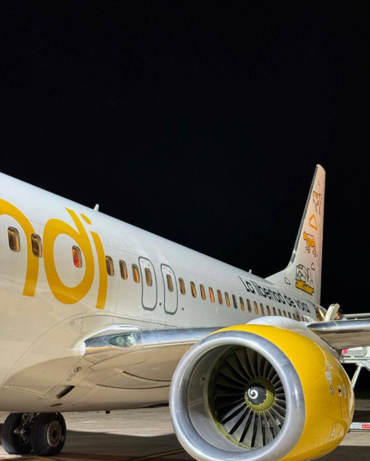 Flybondi fue fundada en 2016. Créditos: @flybondioficial.