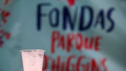 Fondas del Parque O’Higgins: Estos son los escenarios, horarios y los más de 100 artistas que se presentarán en Fiestas Patrias