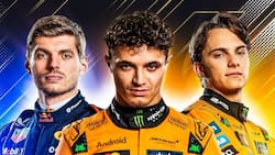 Se define el título: todo lo que debes saber antes de la última fecha de la F1