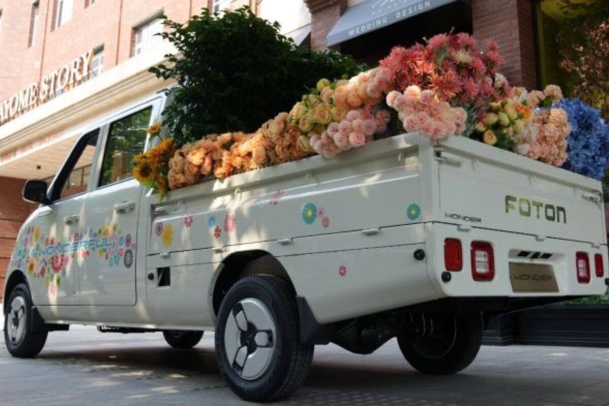 Los minitrucks Wonder se ofrecen en carrocerías simple, doble y cargo box.