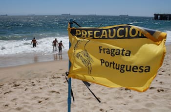 Por presencia de Fragata Portuguesa: 4 playas que fueron cerradas en El Tabo