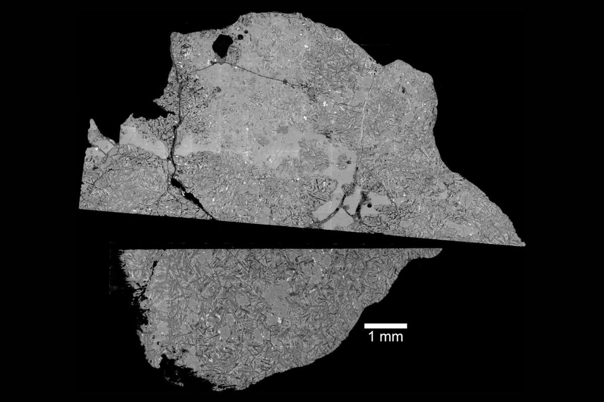 El hallazgo fue analizado por la Universidad de Manchester, quienes revelaron los asombrosos resultados de su composición.