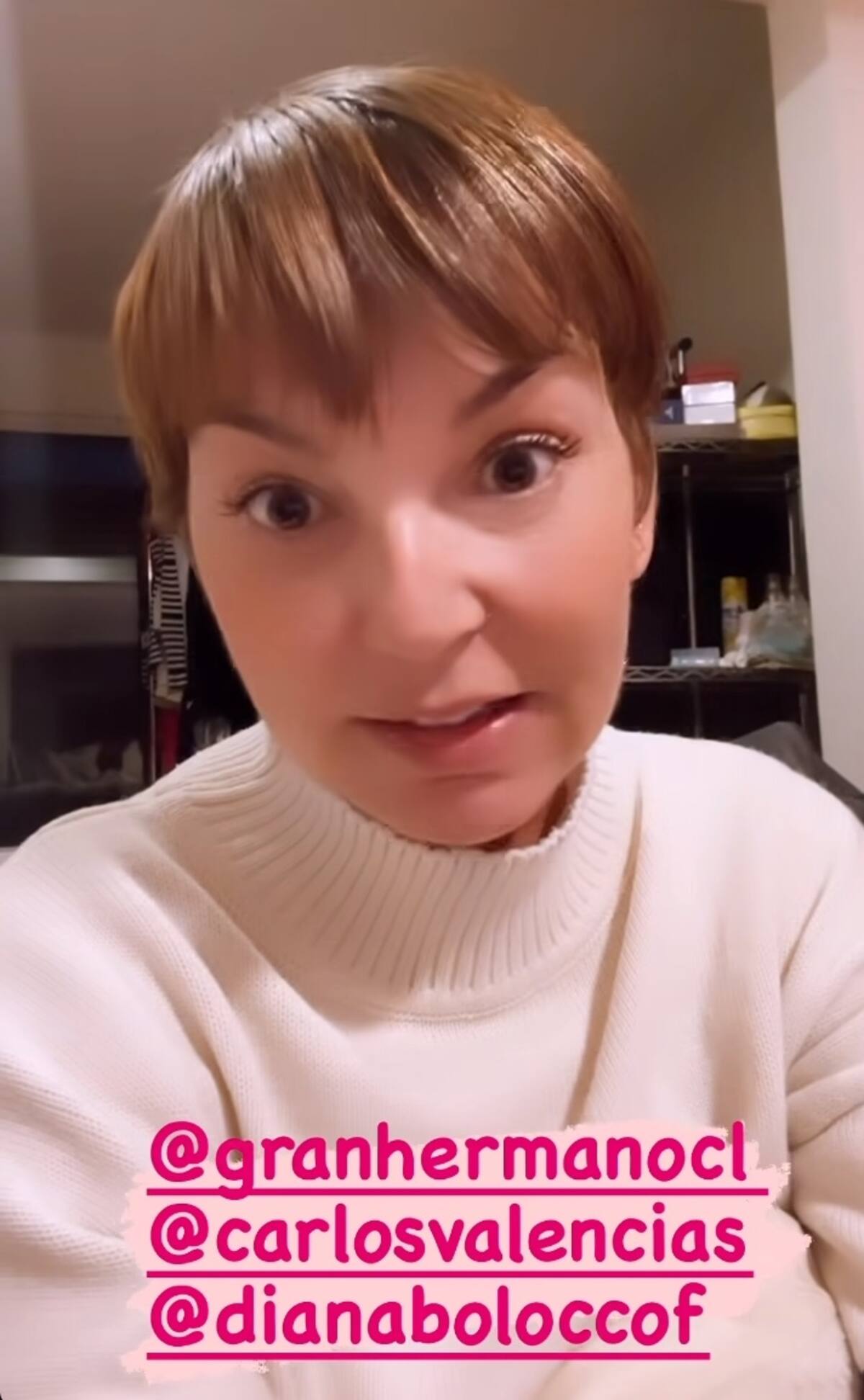 Fran García-Huidobro no estará en "Gran Hermano Chile 2". Créditos: Instagram