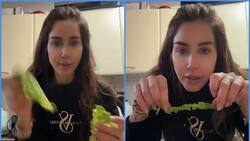 Fran Undurraga enseña en un video a cortar lechuga y se llena de burlas