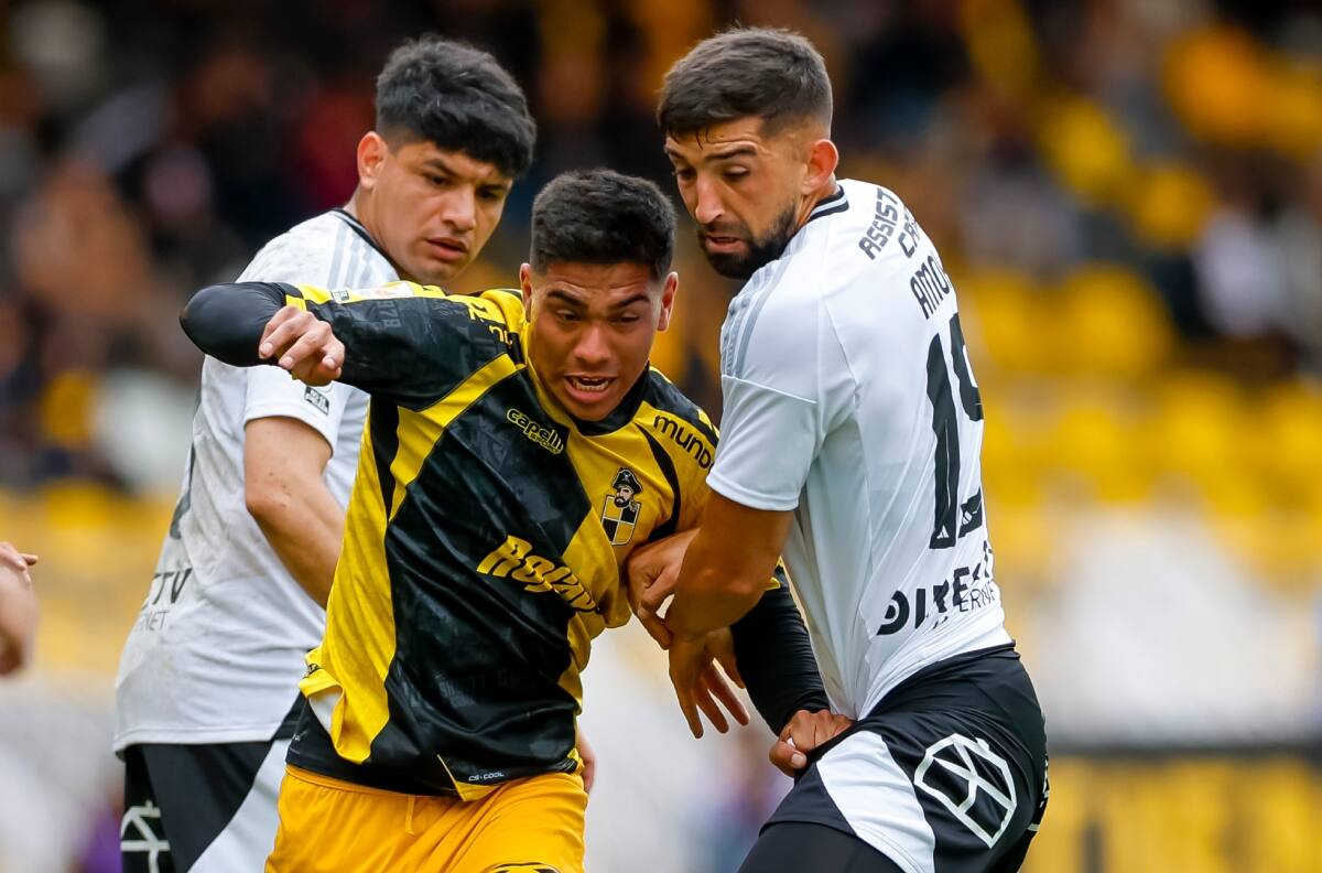 “Matías Fernández es un campeón sudamericano, pero eso hace tres años; por actualidad, Francisco Salinas era mejor opción”