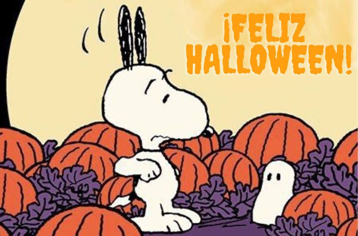 Halloween: Las mejores frases e imágenes para enviar a tus contactos por WhatsApp