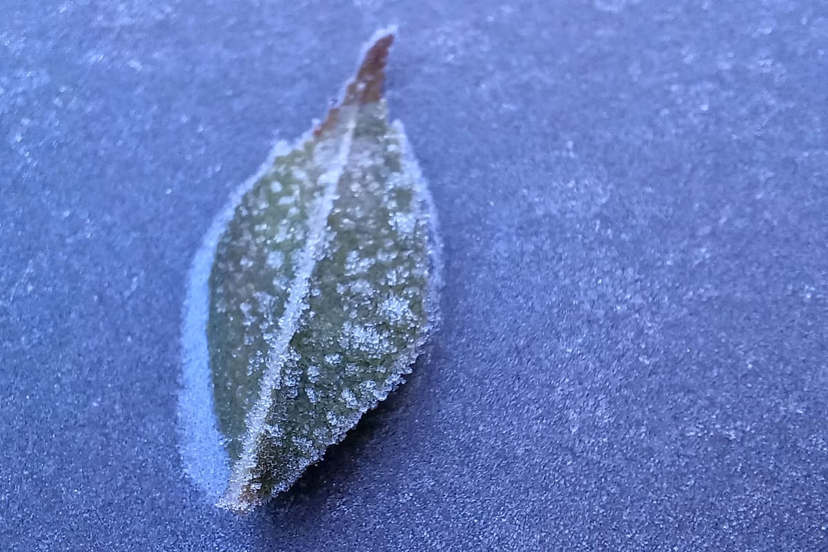 Las gélidas temperaturas se han tomado gran parte de Chile.