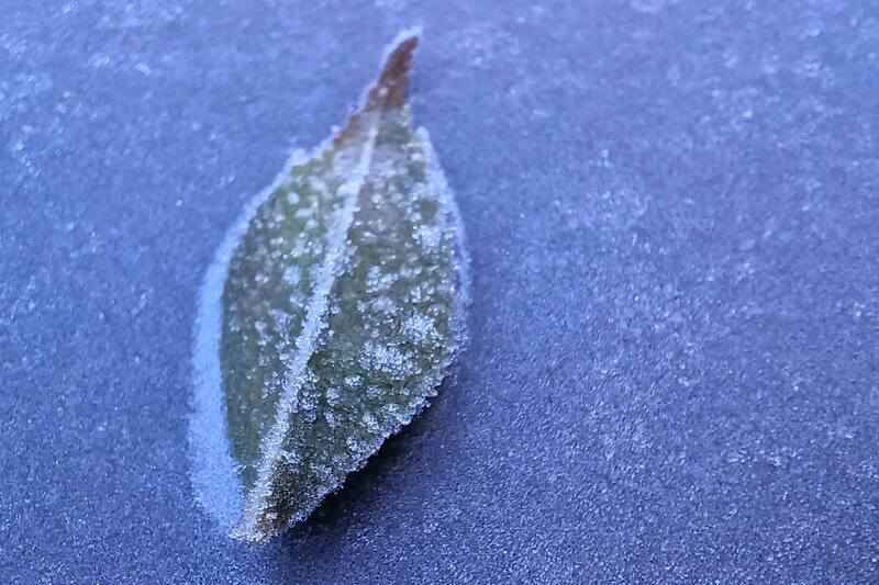 Las gélidas temperaturas se han tomado gran parte de Chile.