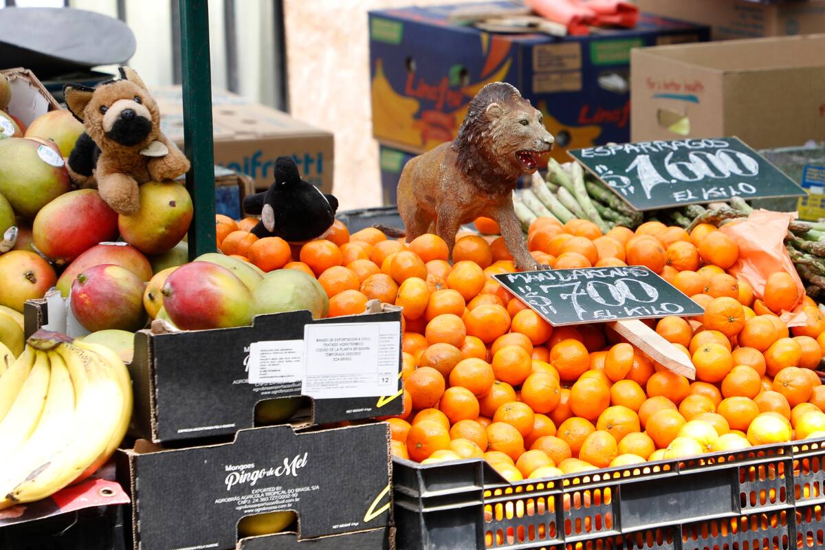 La medida afectará a varios productos exportados desde Chile.