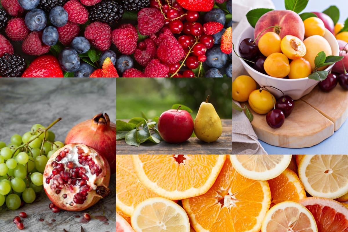 Conoce cuáles son las recomendadas por Harvard.