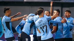 Alarma en el Congreso por venta de O’Higgins: “Hay un claro conflicto de interés en el grupo comprador”