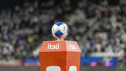 Todo definido: así quedaron la Primera División y Primera B para 2026