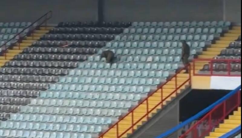 El momento en el que carabineros busca el supuesto artefacto explosivo.