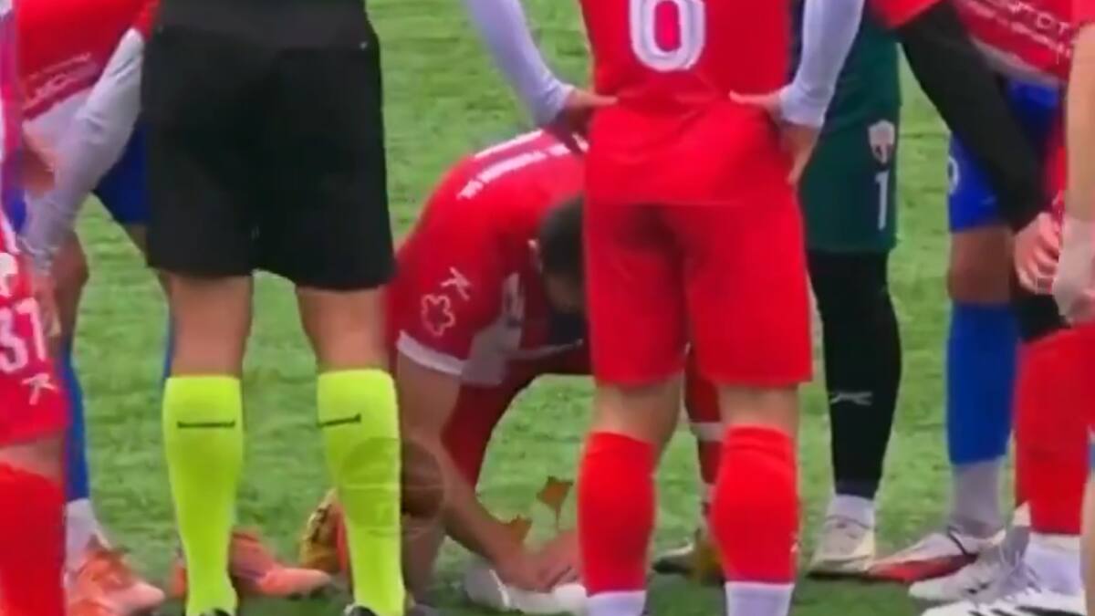 VIDEO | La imagen de la reanimación en plena cancha a una gaviota que da la vuelta al mundo