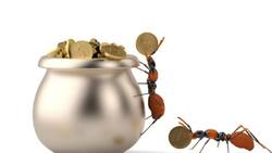 “No gaste más de lo que usted reciba”: Jorge Berríos, Director Académico del Diplomado en Finanzas FEN de la Universidad de Chile sobre los gastos hormigas