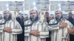 VIRAL | Gato trepa a una imán durante una oración en una mezquita