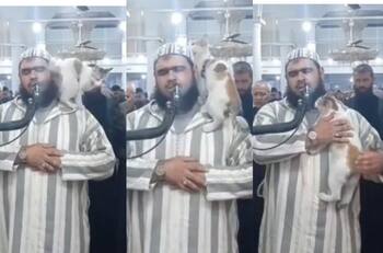 VIRAL | Gato trepa a una imán durante una oración en una mezquita