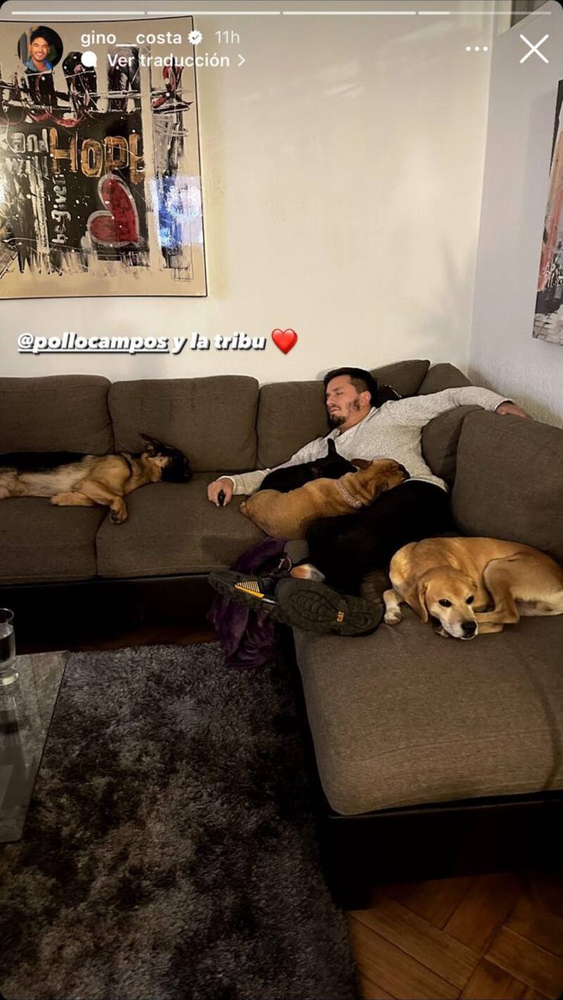 Historia de Instagram de Gino Costa
