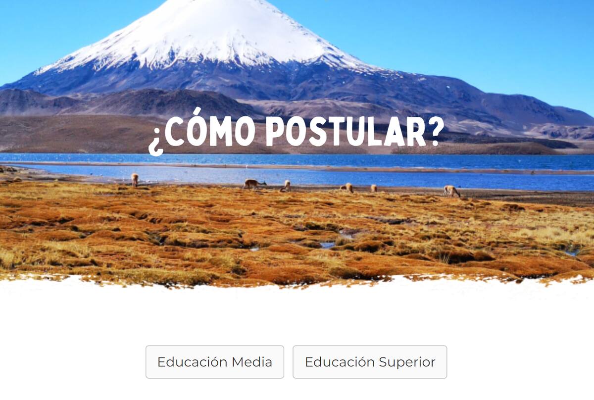 Sólo puedes postular a la Gira de Estudios Sernatur con los datos de la invitación realizada por la entidad.