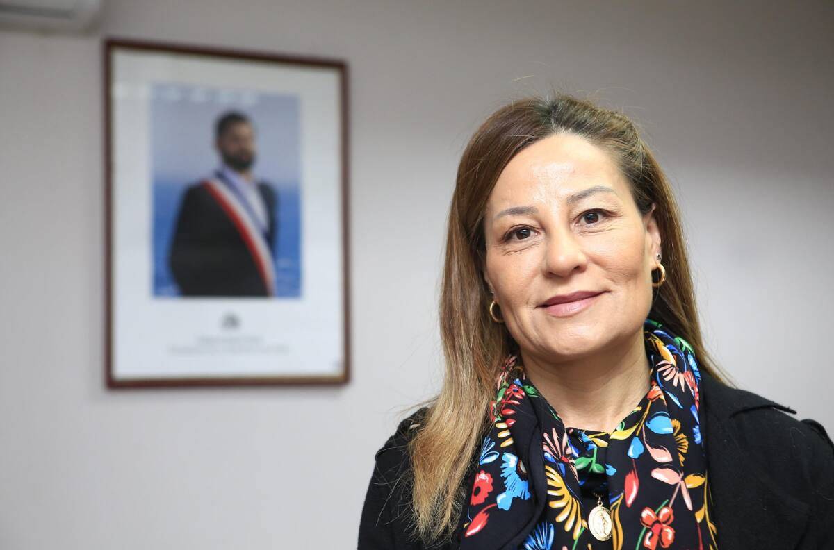 ¿Quién es Gladys Sáez, Seremi de Transportes que renunció tras chocar en estado de ebriedad?