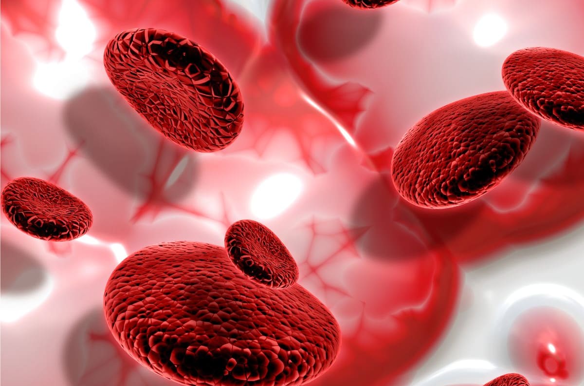 Conoce cómo disminuir el nivel de azúcar en tu sangre de una forma fácil y rápida