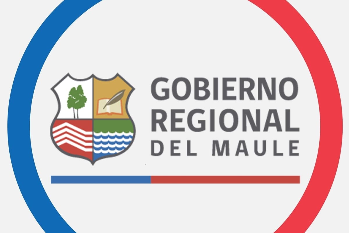 Conoce quiénes son los candidatos.