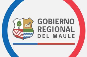 Elecciones 2024: ¿Quiénes son los candidatos a Gobernador en la Región del Maule?