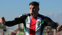 “El Asesino del Gol” no seguiría en Palestino y este podría ser su nuevo equipo para 2026