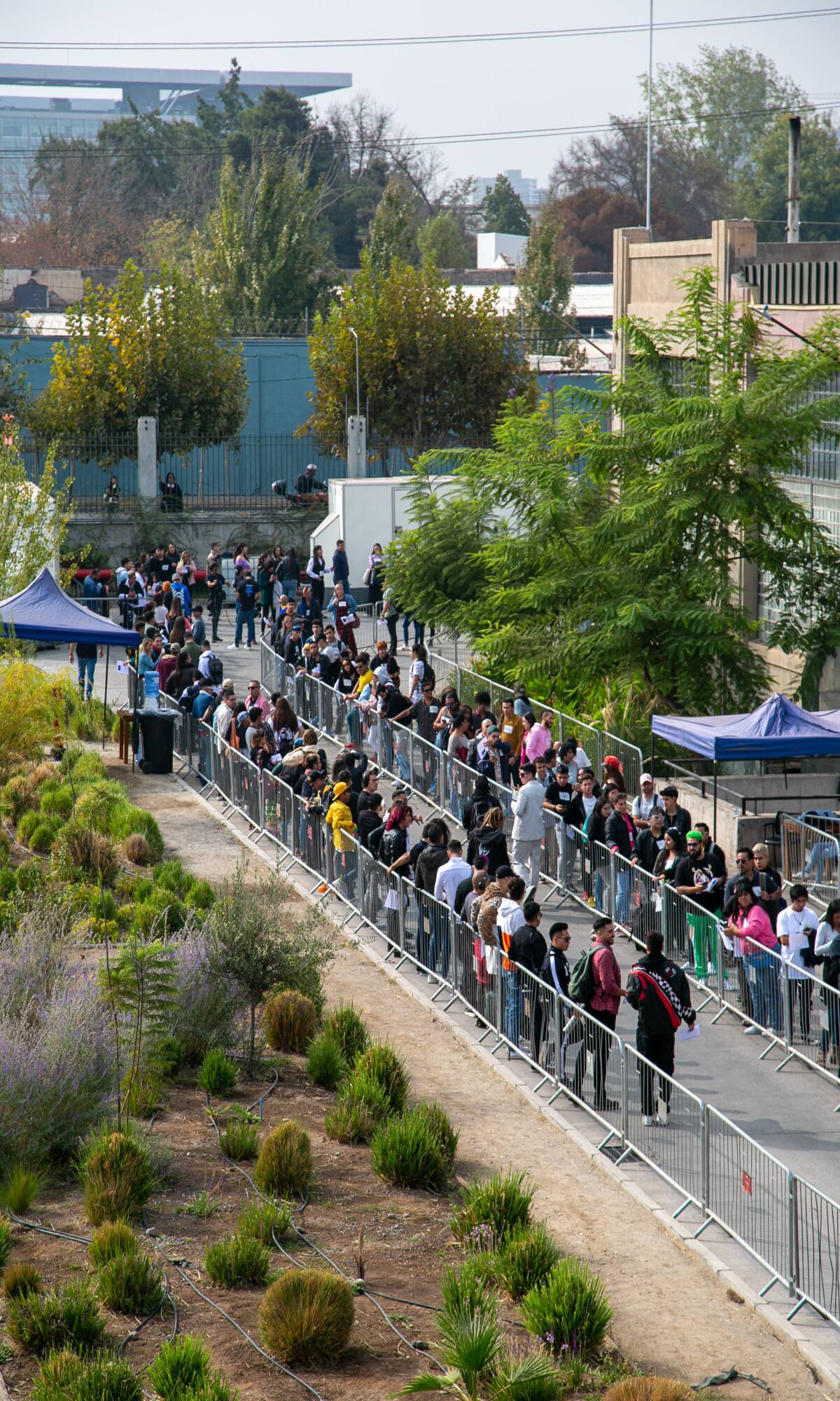 Masiva asistencia al casting presencial.
