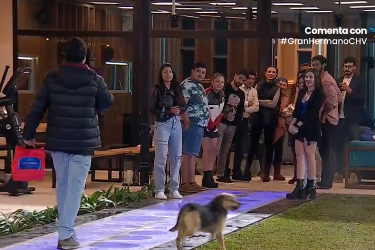 Por fin ingresó el nuevo participante de "Gran Hermano" Chile.