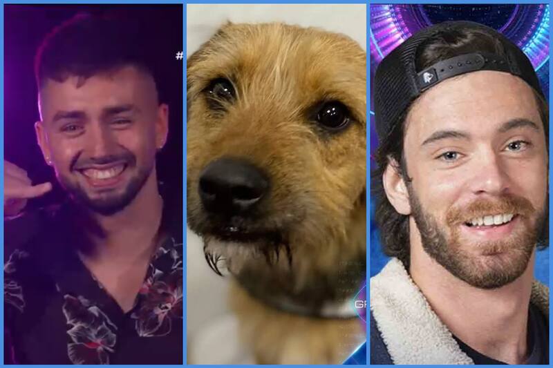 Piden la eliminación de “Bambino” y Lucas de “Gran Hermano” Chile por maltrato animal contra Bigote