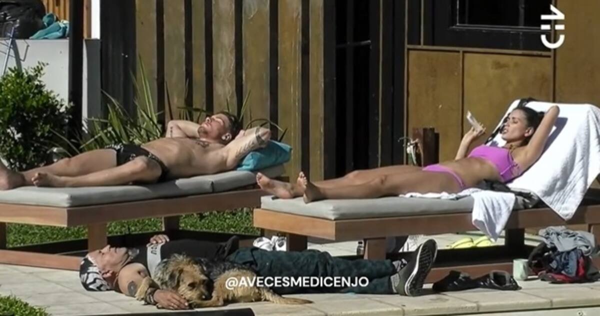 Créditos: Instagram
