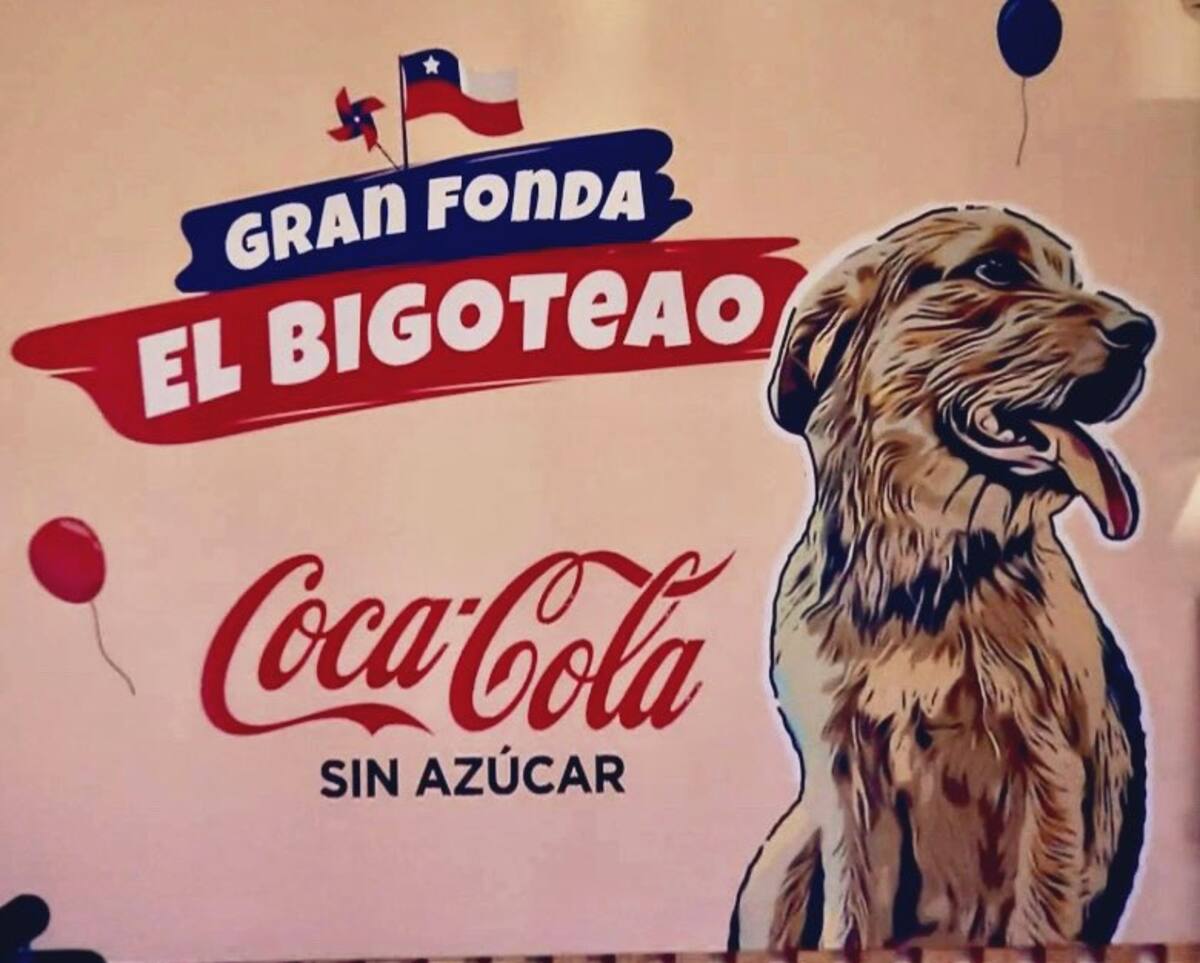 El lema de la fonda de "Gran Hermano" Chile.