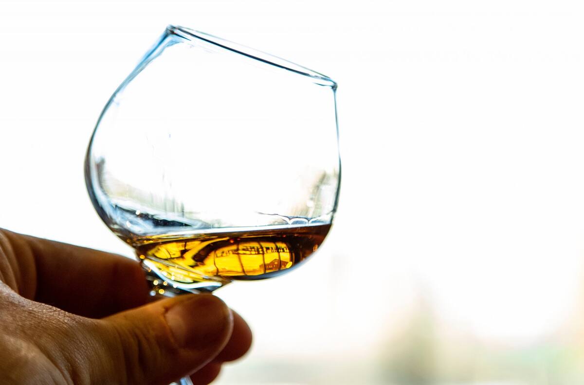 ¿Cuánto cuesta el pisco chileno que ganó un importante premio internacional?