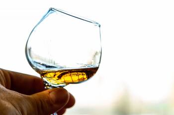 ¿Cuánto cuesta el pisco chileno que ganó un importante premio internacional?