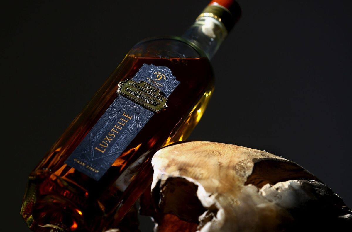 ¿Cuánto cuesta el pisco chileno que obtuvo doble oro en Londres?