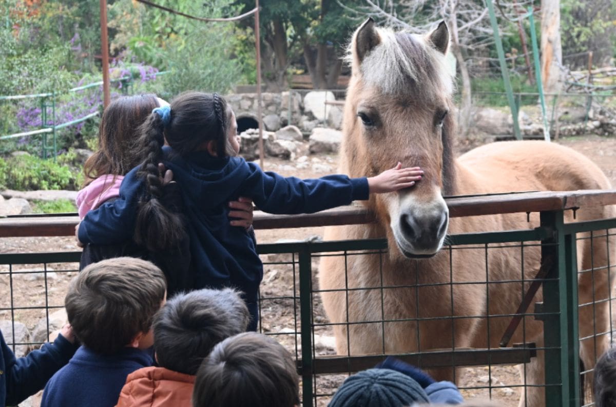 ¿Tus hijos aman a los animales?: Granja Aventura invita a disfrutar de una experiencia única en el Día del Niño