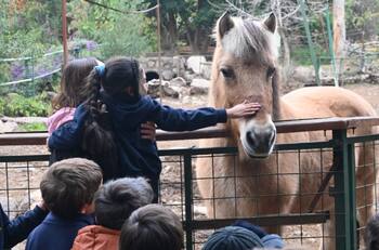 ¿Tus hijos aman a los animales?: Granja Aventura invita a disfrutar de una experiencia única en el Día del Niño