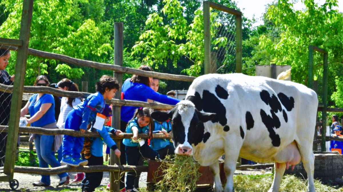 Escapada cerca de Santiago: el refugio natural en Lonquén ideal para un día de campo en familia