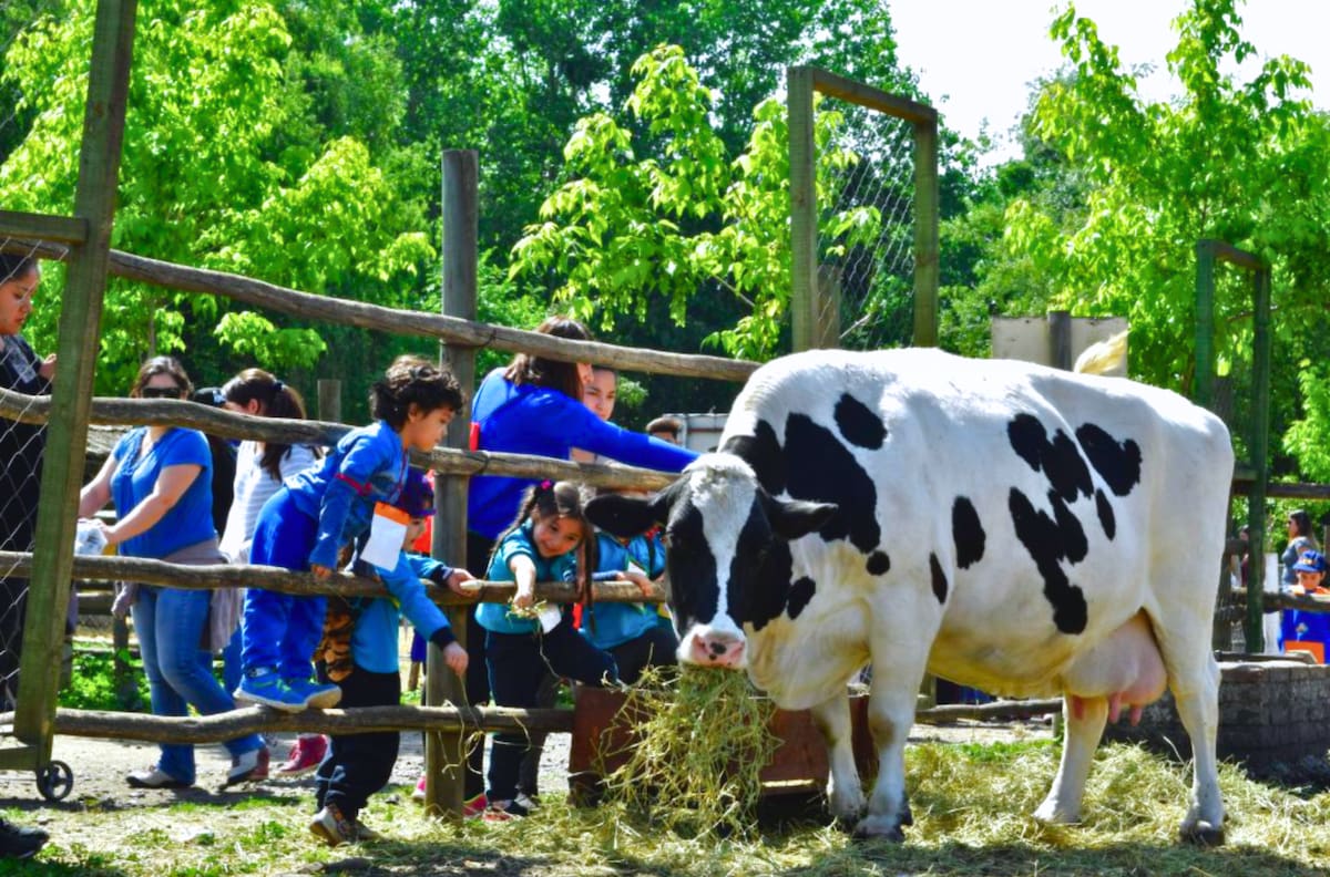 Escapada cerca de Santiago: el refugio natural en Lonquén ideal para un día de campo en familia