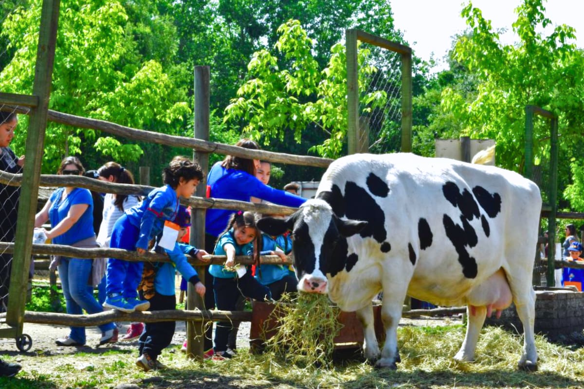 Un panorama increíble para las familias a solo 45 minutos de Santiago. Foto: Granja Educativa