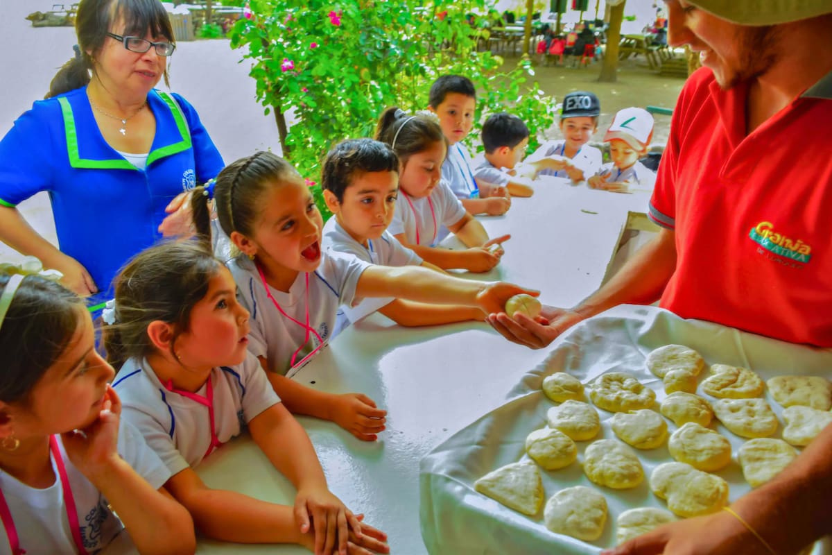 Descubre la granja educativa con talleres de pan y greda, perfecta para visitar en familia. Foto: Granja Educativa.