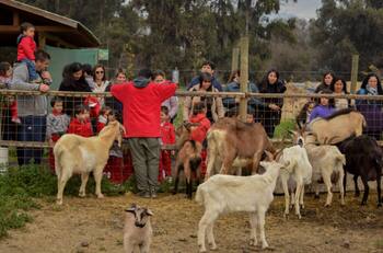 ¿Buscas algo qué hacer?: Granja Educativa de Lonquén ofrece un imperdible 2x1 durante el mes de enero