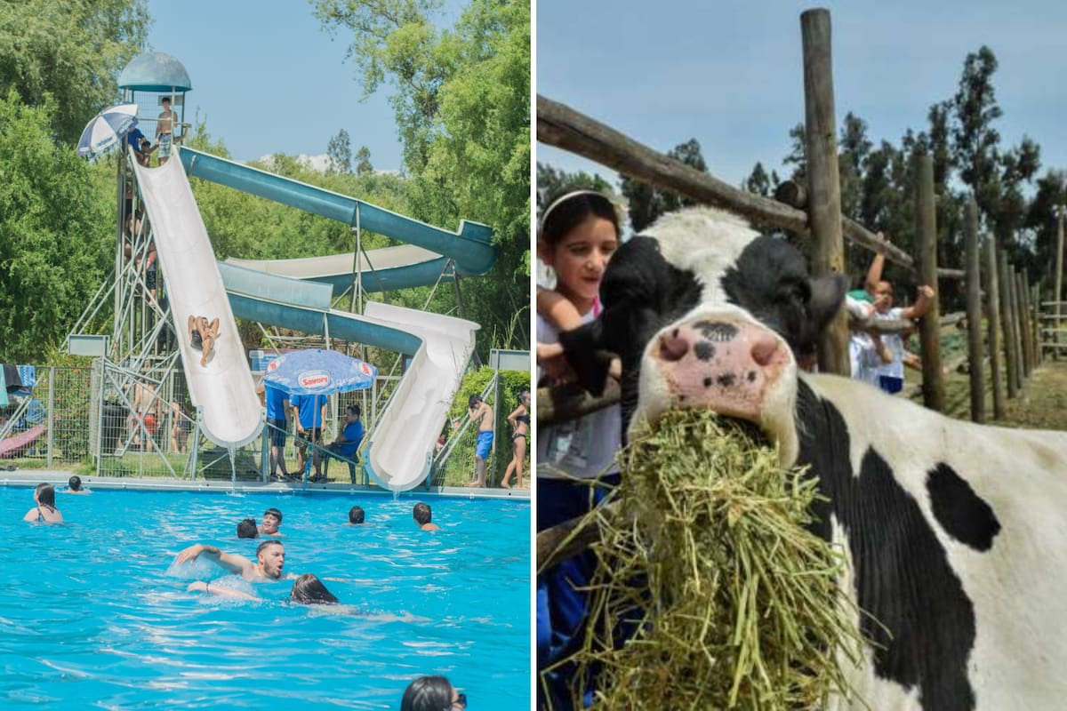 Este espacio invita a desconectarse de la rutina y relajarse en un entorno natural.
Créditos: Granja Educativa y Ecoparque de Lonquén.