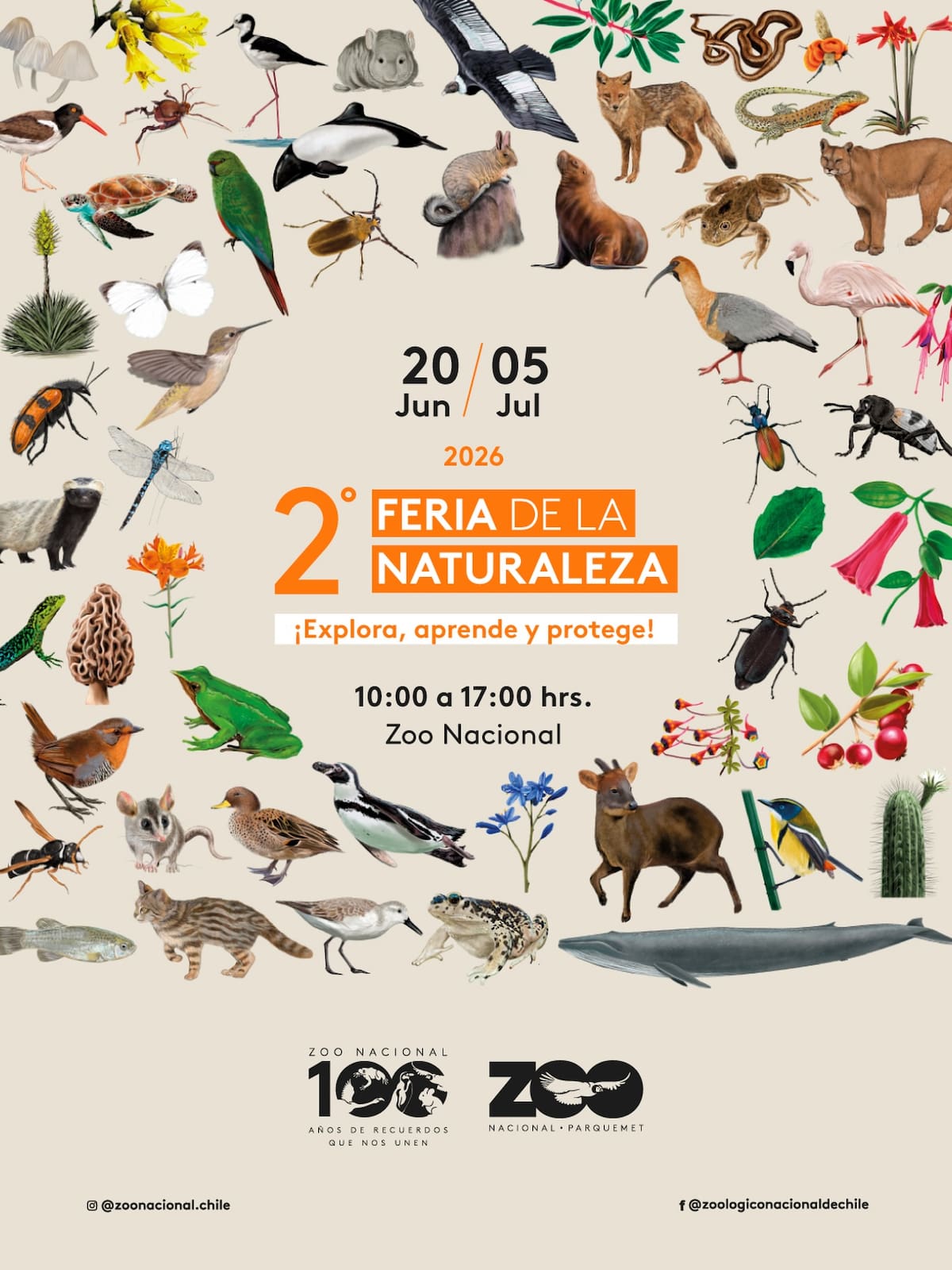 Zoo Nacional. Foto: Instagram.