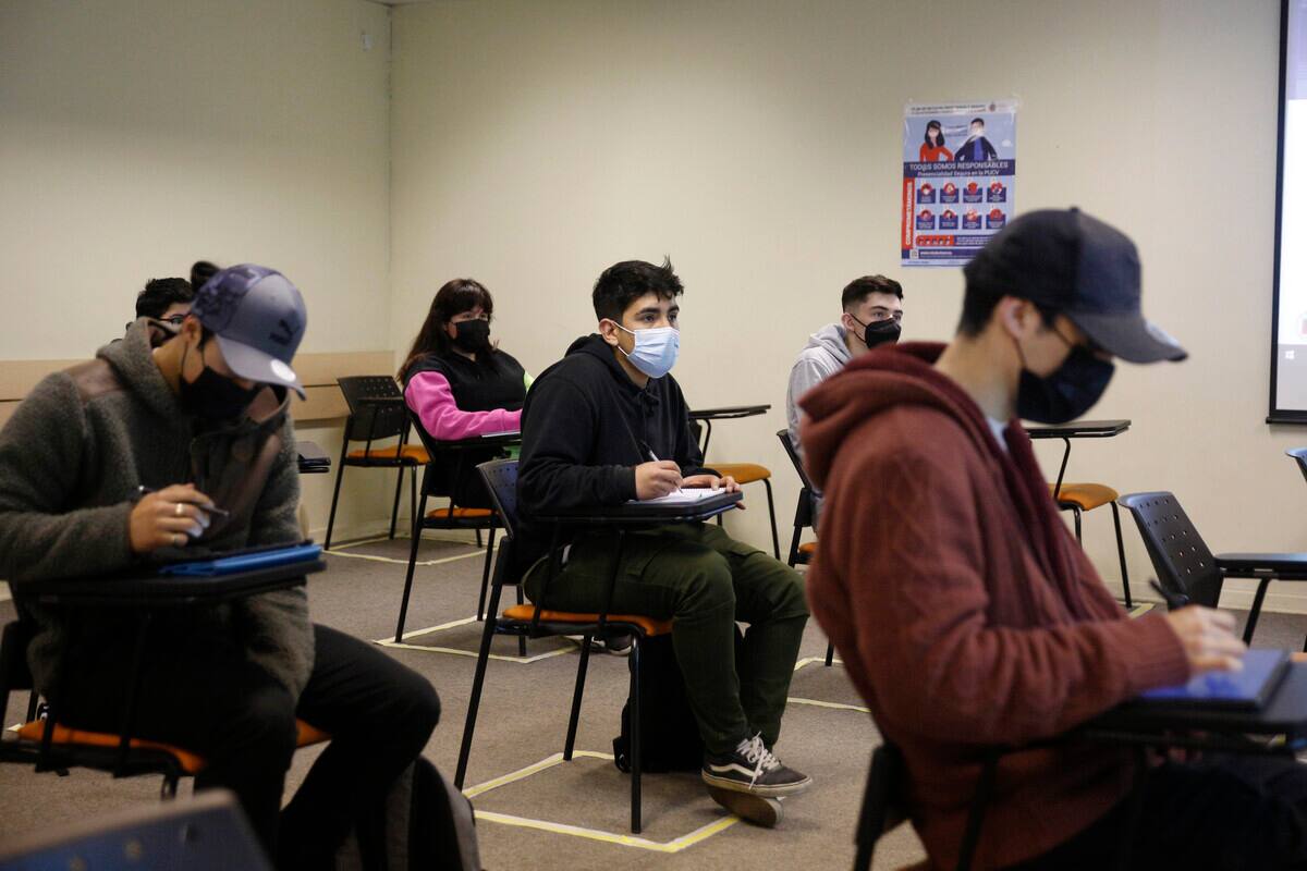 Revisa dónde puedes revisar si eres beneficiario de la gratuidad y cuáles son los requisitos para acceder a ella. Créditos: ATON.